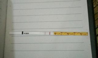 准备怀孕网 准备怀孕网