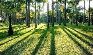 西双版纳好玩吗 西双版纳好玩吗