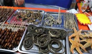 蝎子和蜈蚣谁厉害 蝎子和蜈蚣谁厉害