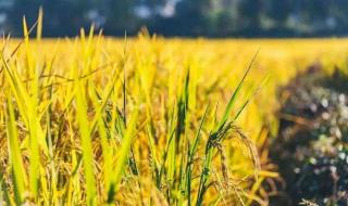 我国人口突破14亿