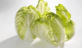 五九天是什么日子 五九天是什么日子