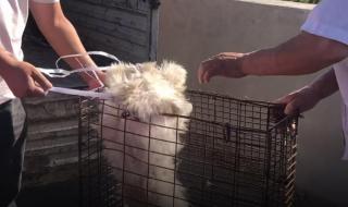 为了50块钱 为了50块钱