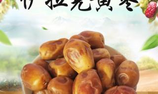 伊拉克椰枣 伊拉克椰枣