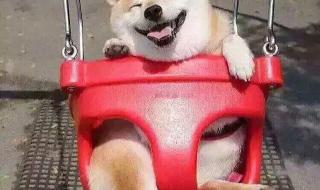 重庆相亲吧 重庆相亲吧