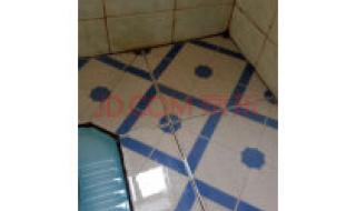 地板清洁剂哪个最好用 地板清洁剂哪个最好用