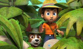 汪汪队立大功第1季 汪汪队立大功第1季