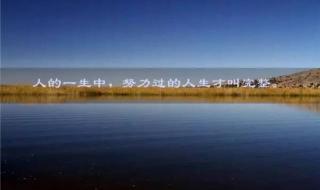 生命是多么的辉煌