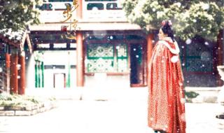 奉茶宫女马尔泰若曦 奉茶宫女马尔泰若曦